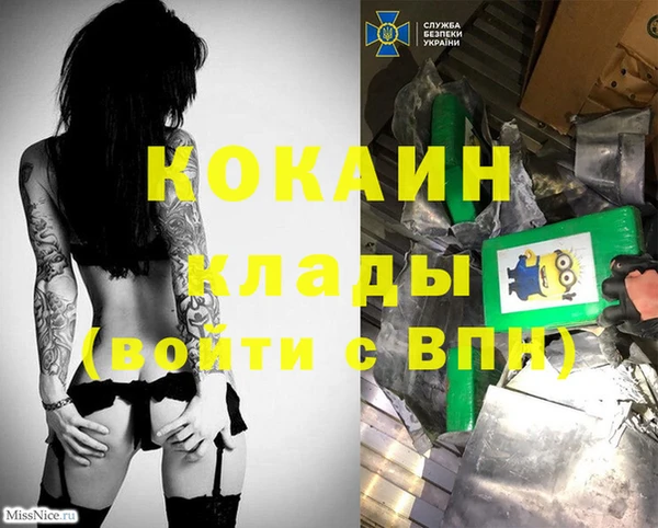 мдма Ельня