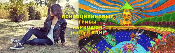 мдма Ельня
