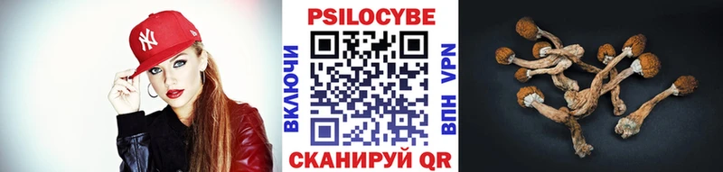 Купить  Инта  Галлюциногенные грибы мицелий 